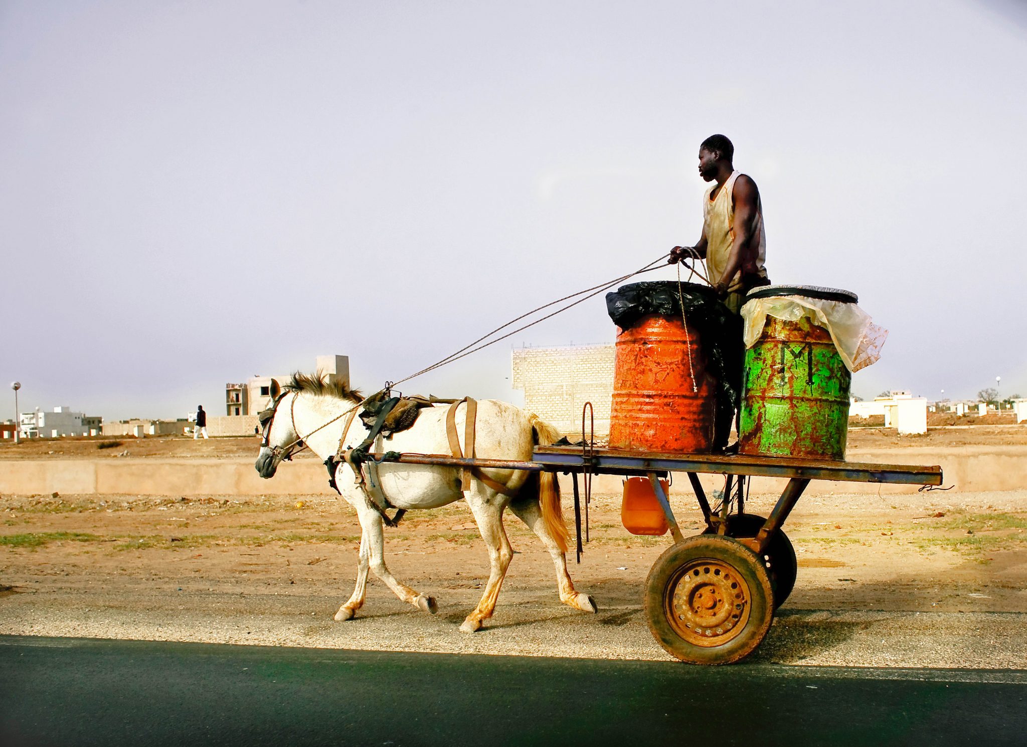 Man on Horse-Drawn Cart in Kinshasa